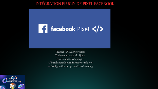 Intégration plugin de pixel Facebook