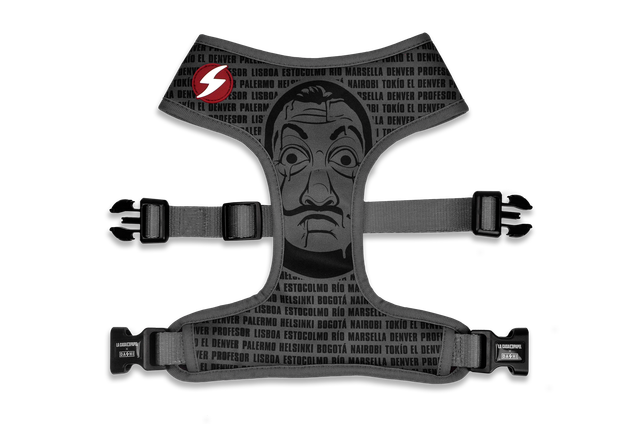 LCDP Melted Neo Mesh