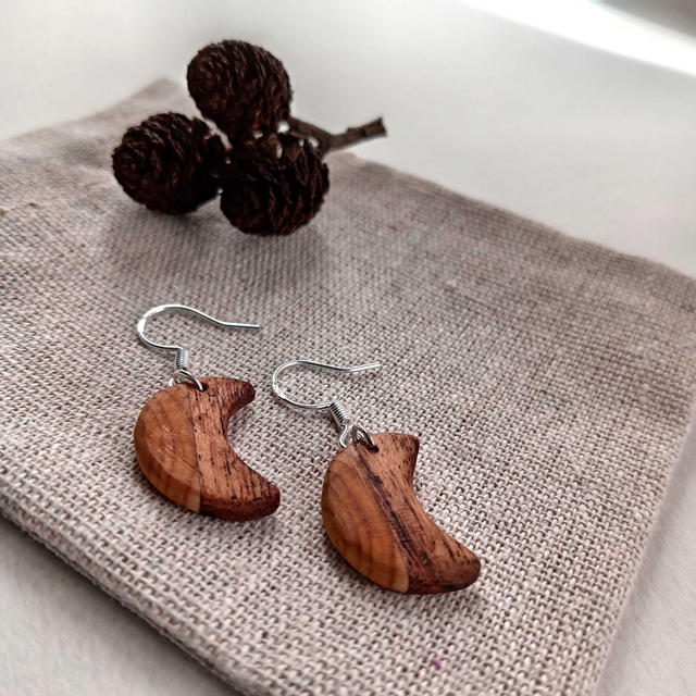 Boucles d&#039;oreilles