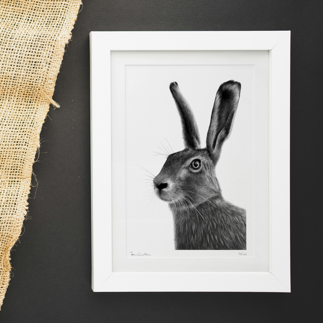 Hare Limited Edition Print
