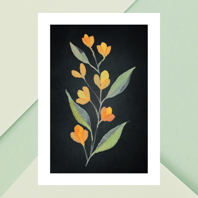 Impression Florale Aquarelle -7 Lysimaques Jaunes avec Bordure Blanche / Floral Watercolor Print - 7 Yellow Loosestrife on Black with White Border