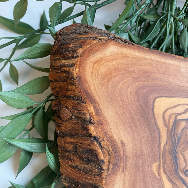 Personalised tree trunk Family Board