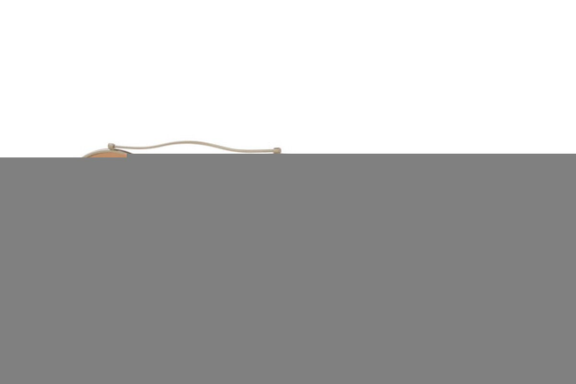 Eyewear Man Giorgio Armani  AR 115SM 300253