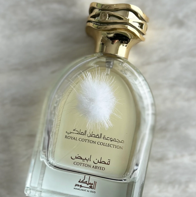 Cotton Abyed - Mamlakat Al Oud
