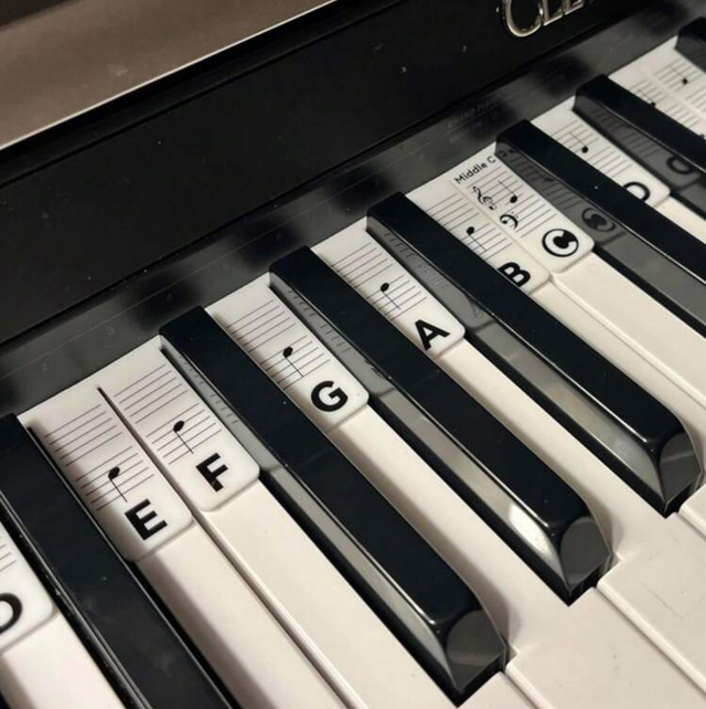 Guide de notes de piano en silicone