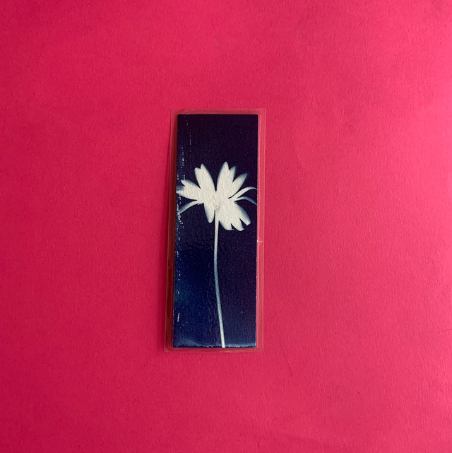 Marque page cyanotype végétal original sur papier épais et plastifié