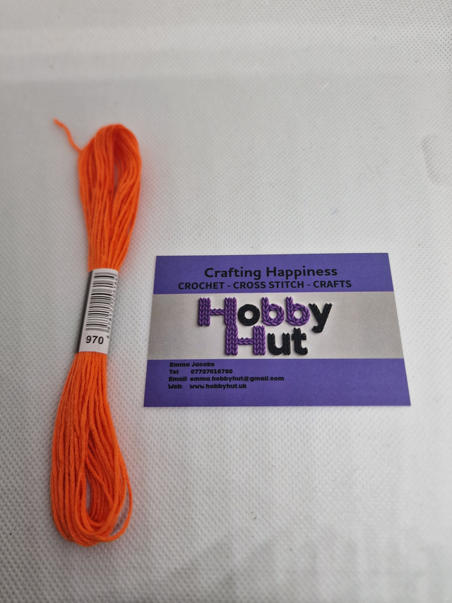 Embroidery Thread - 970