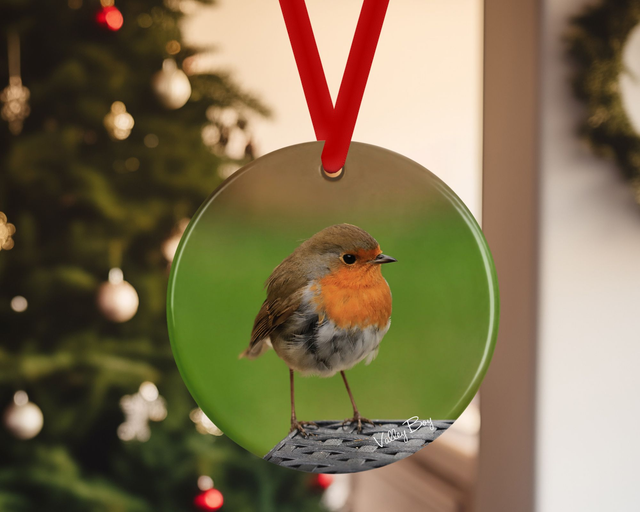 "Robby Robin" Ceramic Christmas Decoration   