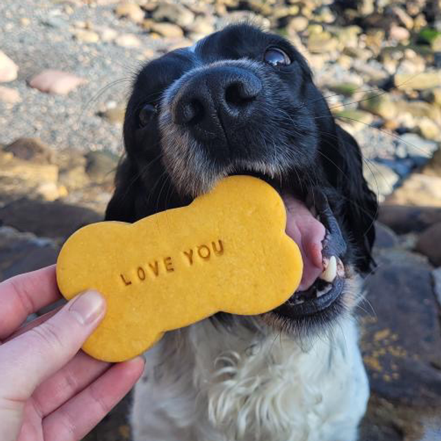 Grain Free Dog Cookie