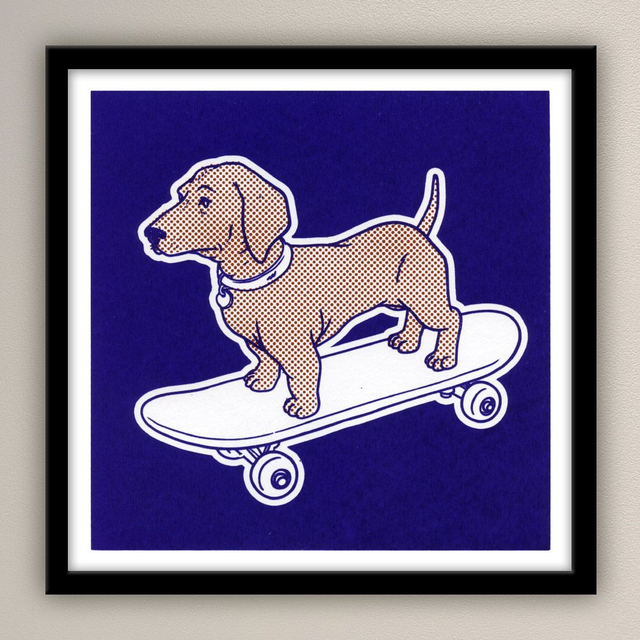 Dog on a Skateboard
