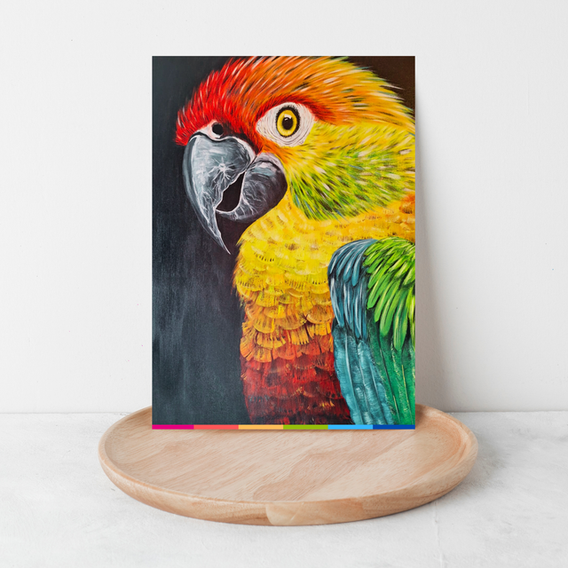 Papegaai | Ansichtkaart A6