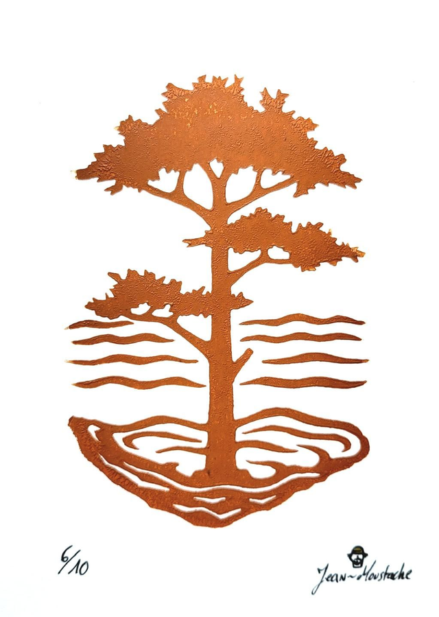PIN IODÉ 