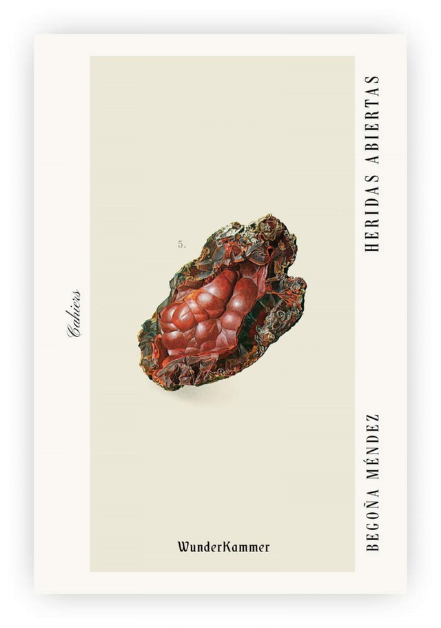 Heridas abiertas - Begoña Méndez