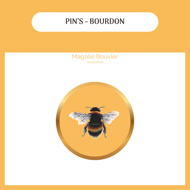 Pin's - Bourdon