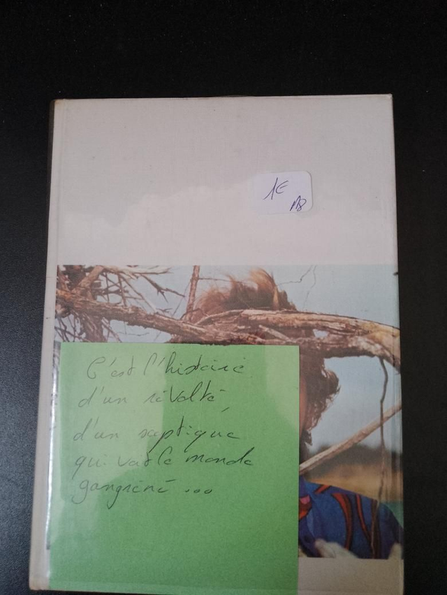 Un jeune en colère, Anne Capelle