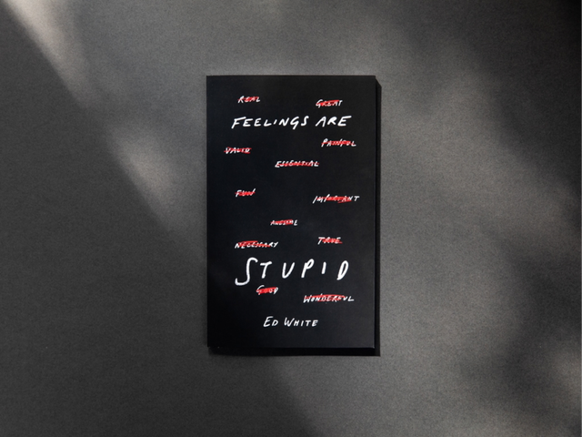 Feelings Are Stupid 