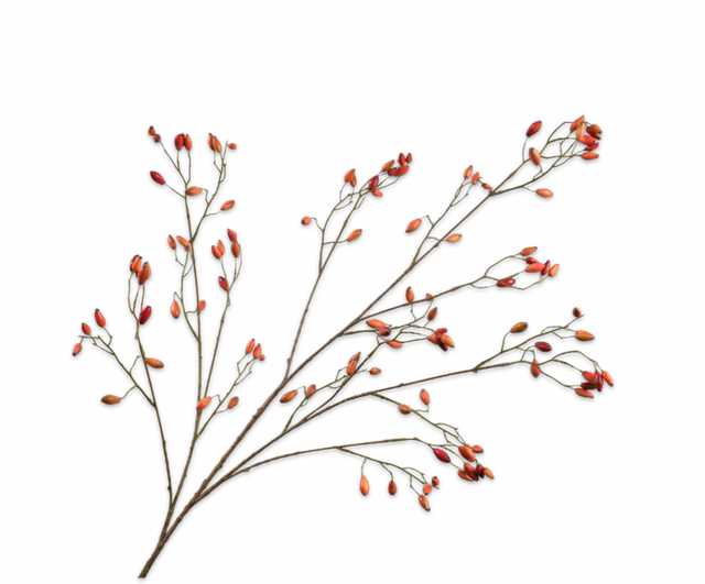 Silk-Ka Rozenbottel Tak Oranje 106cm