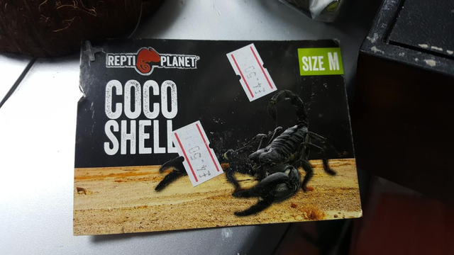 Scorpion / spider / snake hide 