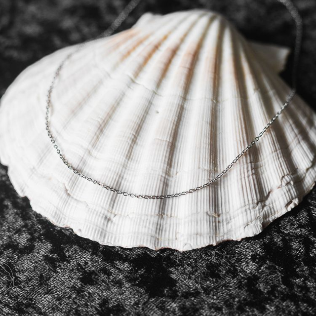 Stainless Steel Necklace