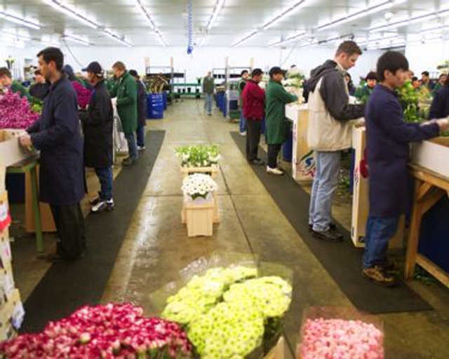 AIRON Bodenbelag schwarz, Stärke ca. 10mm 