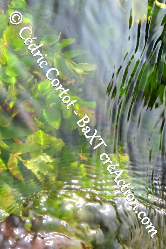 Impression sur alu dibond - Reflets et cours d'Eau (ref 8137)