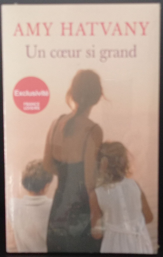 Un coeur si grand de Amy Hatvany