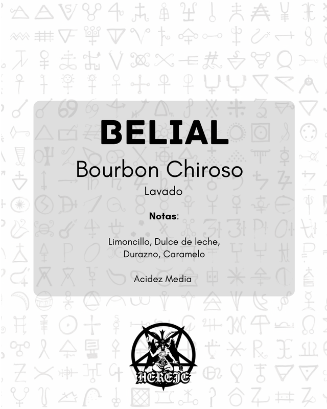 Belial - Bourbon Chiroso - Lavado - 250g