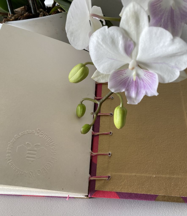 Numéro 78 - Carnet Bulles