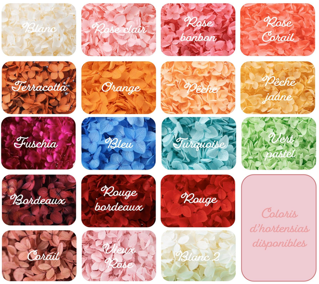 Boucles d'oreilles créoles Sweet Pop - Différents coloris