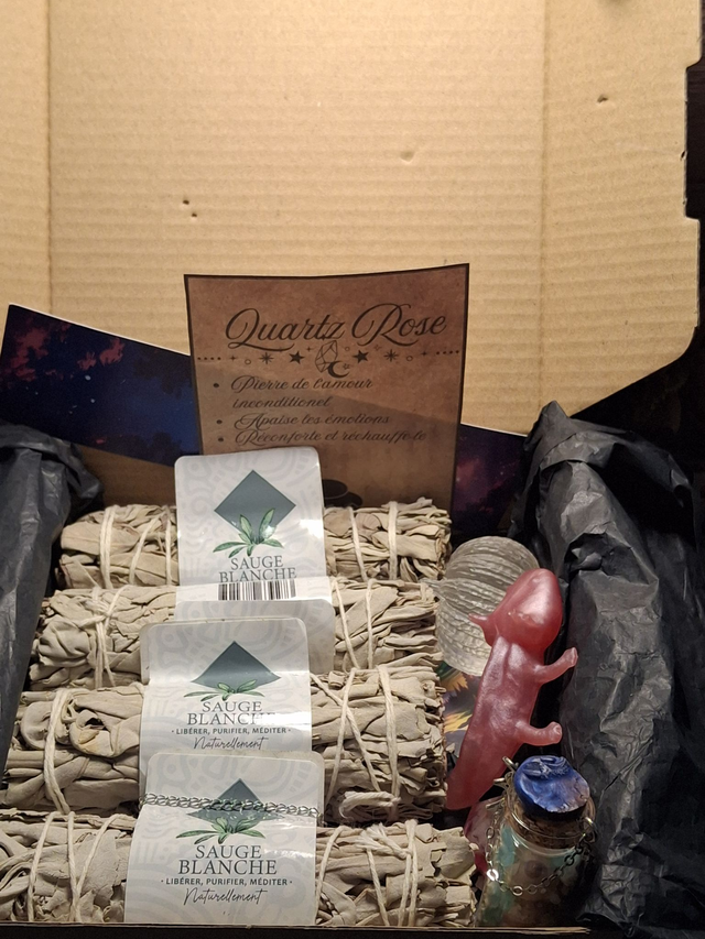 Box des sorcières de Melyvaran
