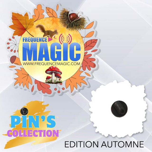 PIN&#039;S 10 ANS N°7 EDITION AUTOMNE