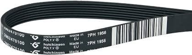 Poly-V-snaar 1956 H7