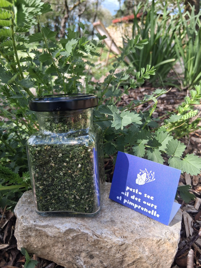 Pesto sec ail des ours et pimprenelle (pot en verre 45g)  