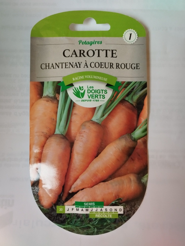 Carotte Chantenay à cœur rouge
