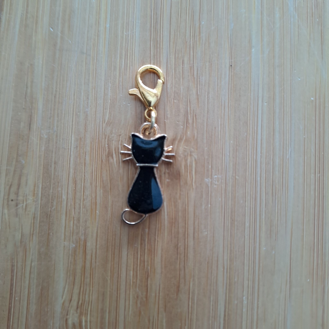Charms chat noir