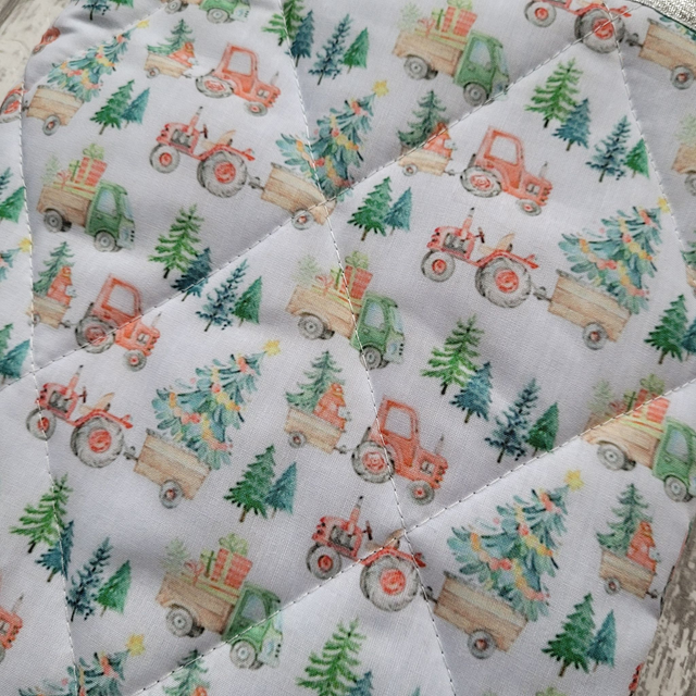 Pochette pour livre Maxi Broché : Christmas Tree Truck