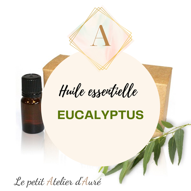 Huile essentielle d&#039;Eucalyptus Globulus 10ml