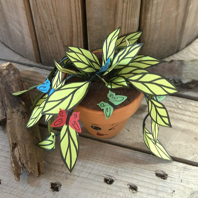 Baby plante "Clin d'œil"