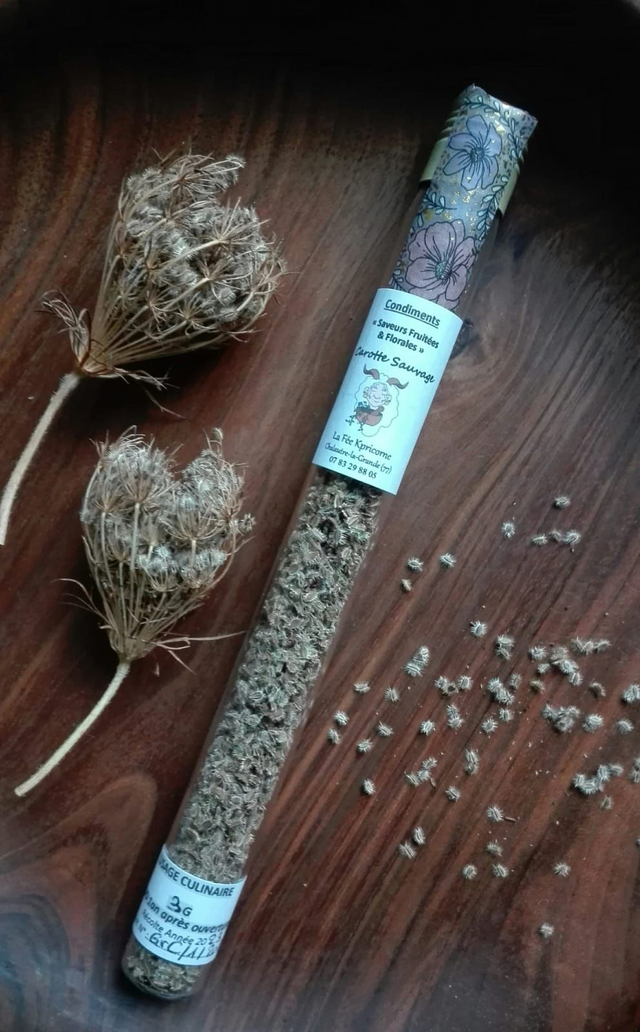 GRAINES DE PLANTES SAUVAGES de Carottes Sauvages [BIEN-ETRE Culinaire] Tube 3g