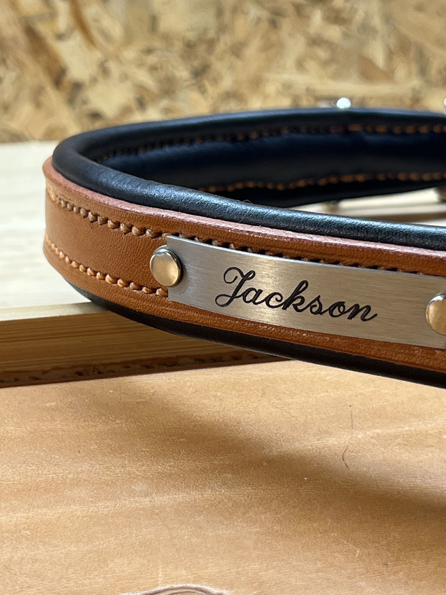 Collier pour chien &quot;Solstice&quot;