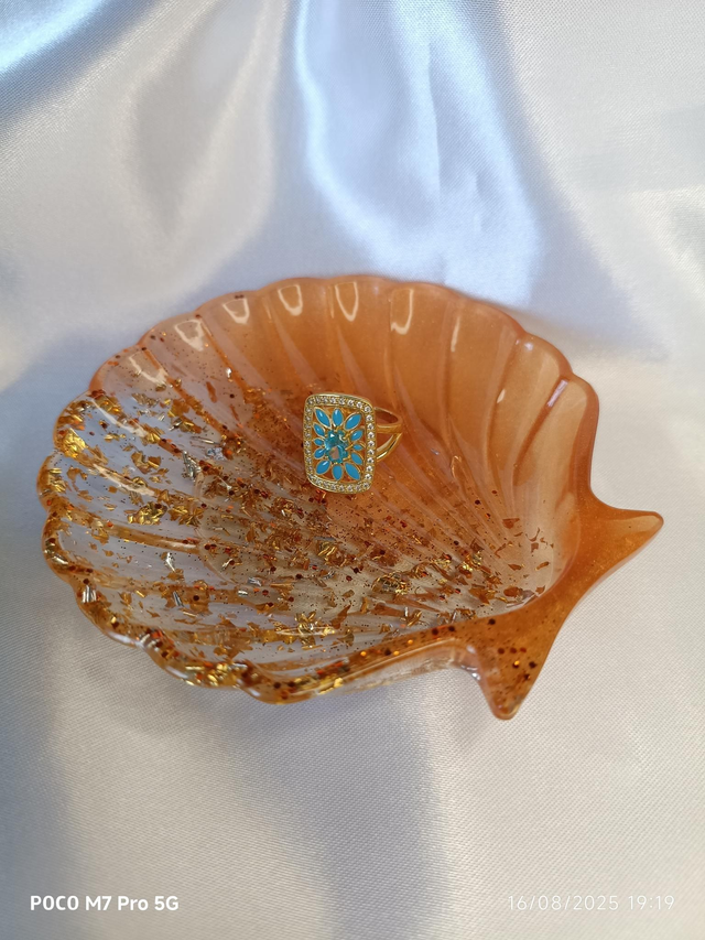 Coquille st jacques blanc nacré