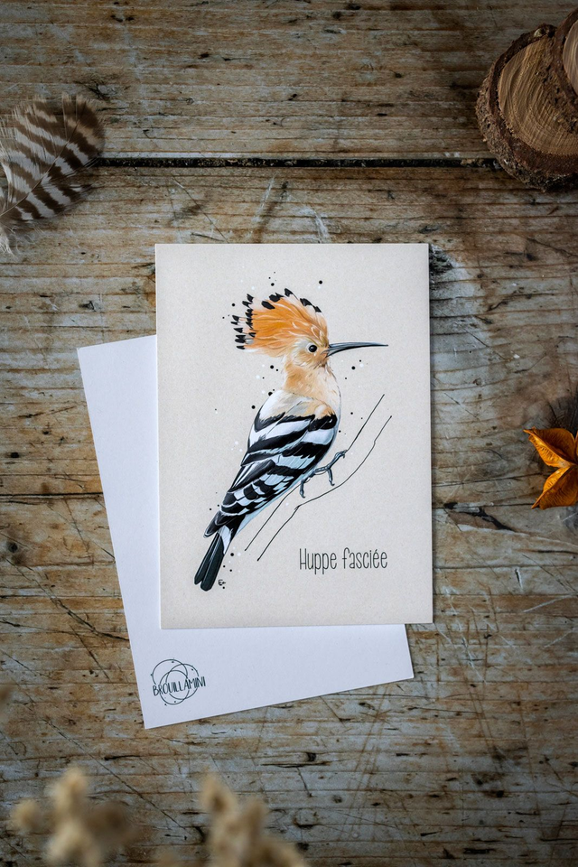 HUPPE FASCIÉE - Carte format A6  