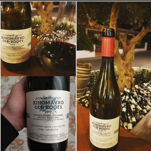 OLD ROOTS (2016) / TATSIS BROTHERS / Rouge