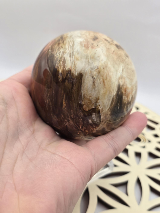 Bois fossilisé forme sphère
