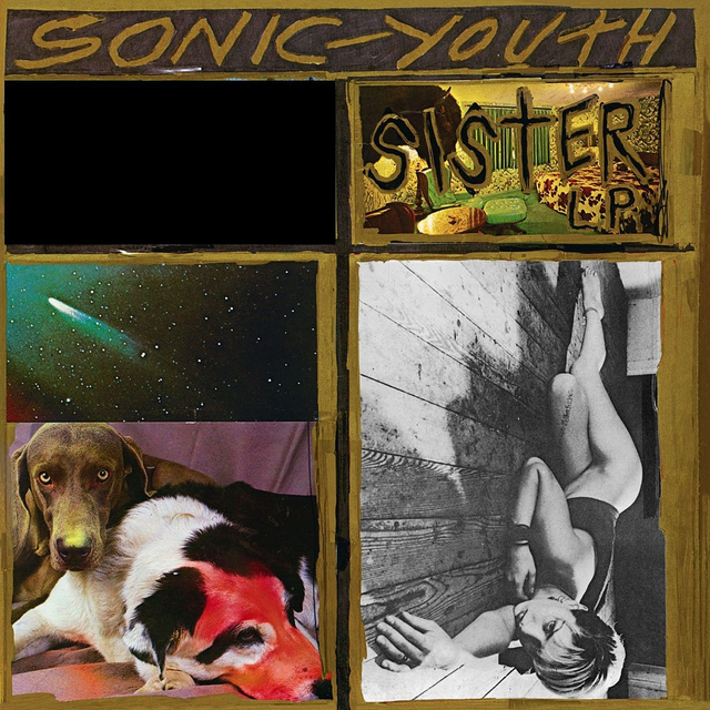 Sonic Youth, Sister