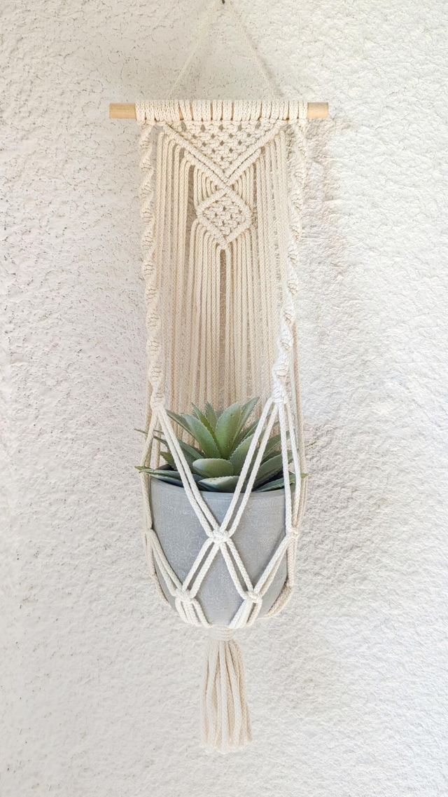 ENOLA Suspension pour plante