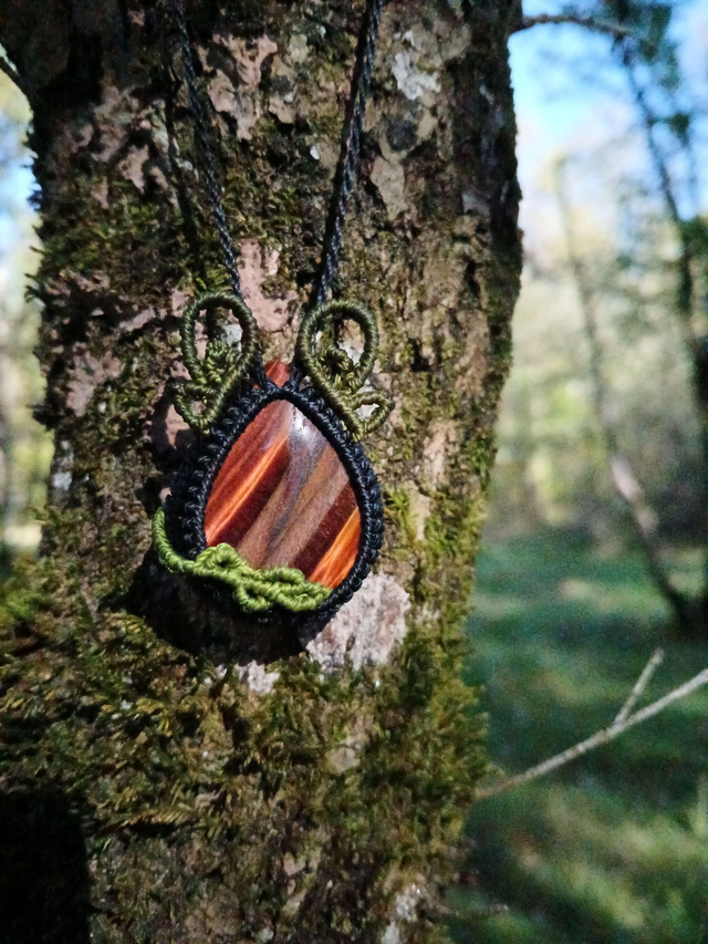 Esprit Sauvage de la Forêt - Œil de taureau