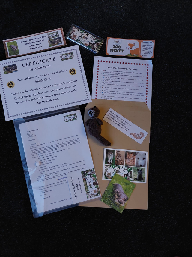 Animal Adoption Pack Plus Animal feed upgrade