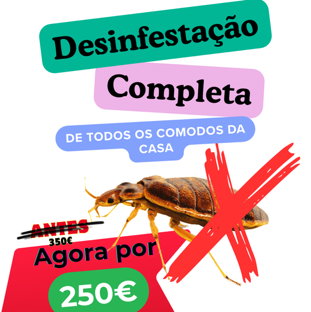 Desinfestação de Percevejos