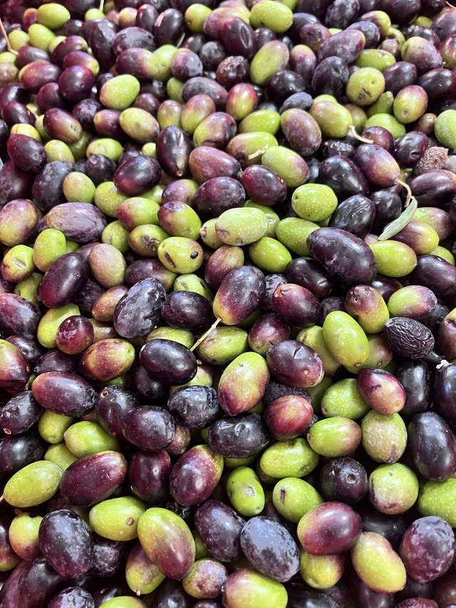 Bouteille Huile d'Olive AOP OLIU DI CORSICA VIERGE EXTRA 75 cl